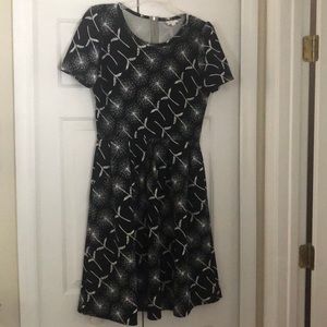 Lularoe Amelia Black and White Dandelion Dress XL